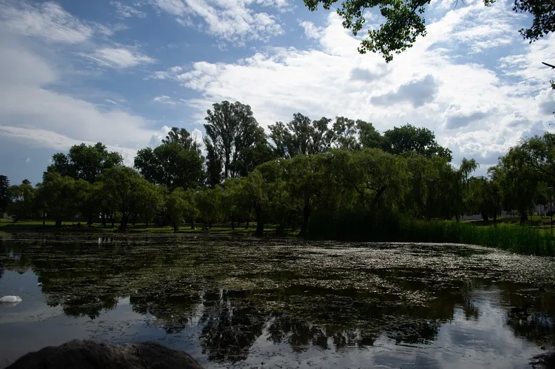 Clima 2025 PARCIALMENTE Nublado (6)
