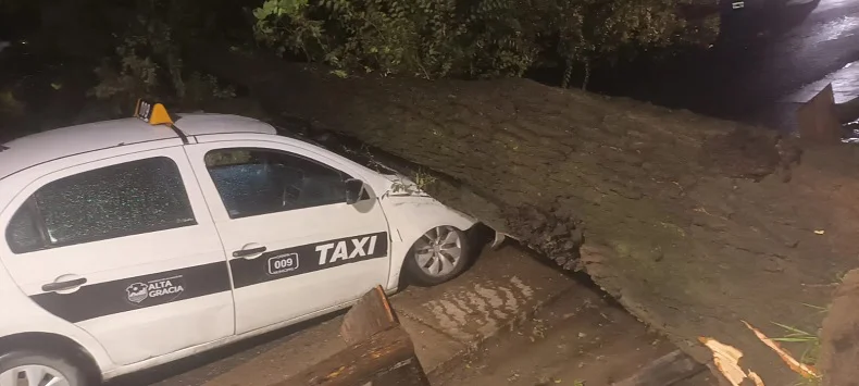 AG Taxi aplastado Temporal 20260404