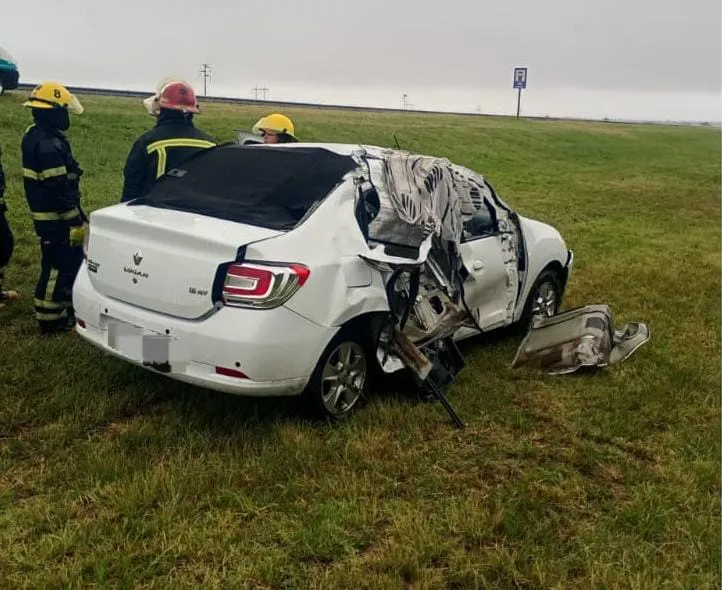 WhatsApp Image 2026-01-08 at 4.17.41 PM