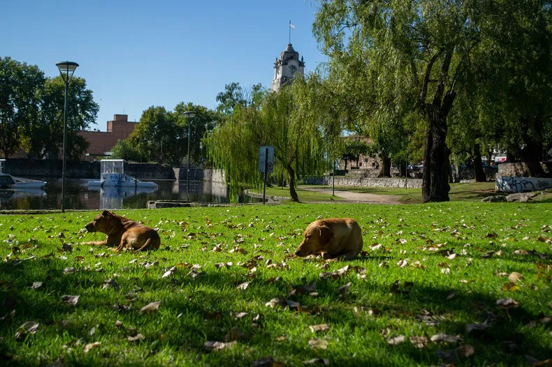 Clima 2025 despejado Otoño