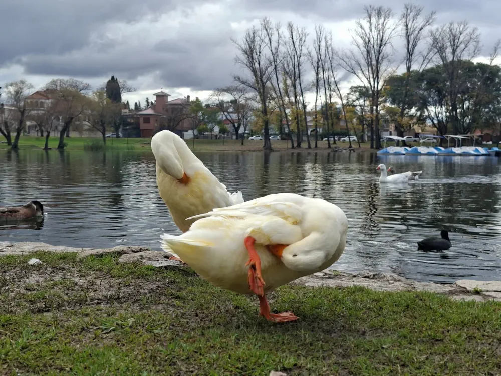 Alta Gracia - tajamar - Patos - Centro - Clima