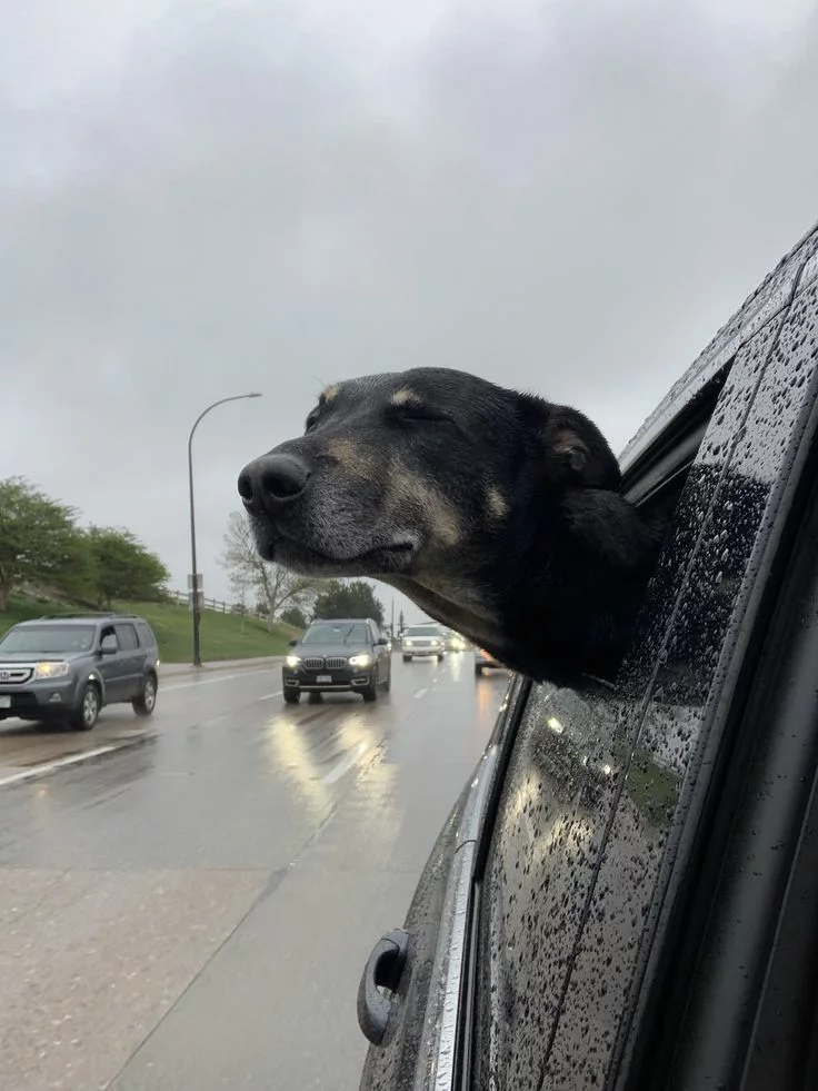 Clima nublado lluvia